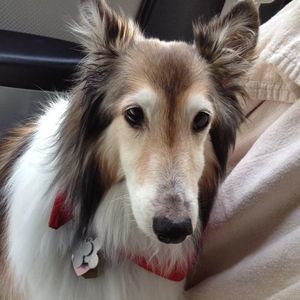 Meet your Posher, Paul